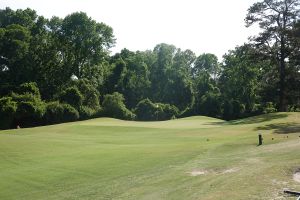Palmetto 15th Green